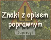 test - szybka piłka